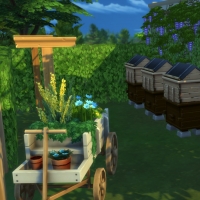 Ce bon vieux cottage - la corde Ã  linge et le rucher