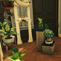 7 sims 4 interieurs fleuris black baccara