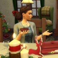 Pack de poses RÃ©veillon en famille - Partie 2 - vue 16