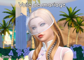 La voilette de Mariage